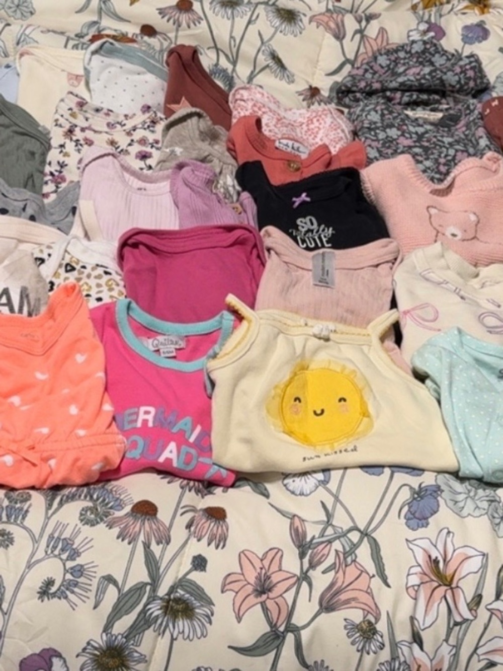 Baby girl clothing bundle